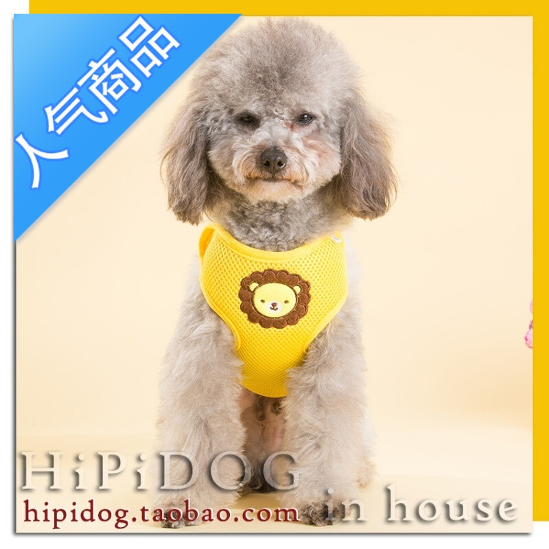 养狗狗排便：揭开宠物护理的秘密